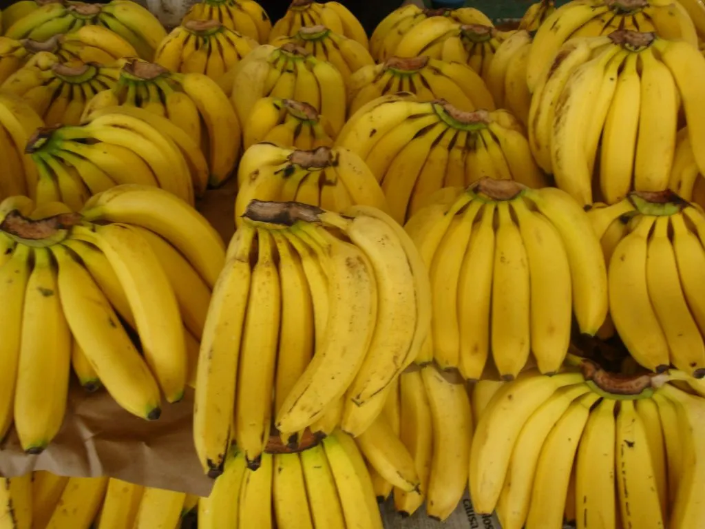 Banano